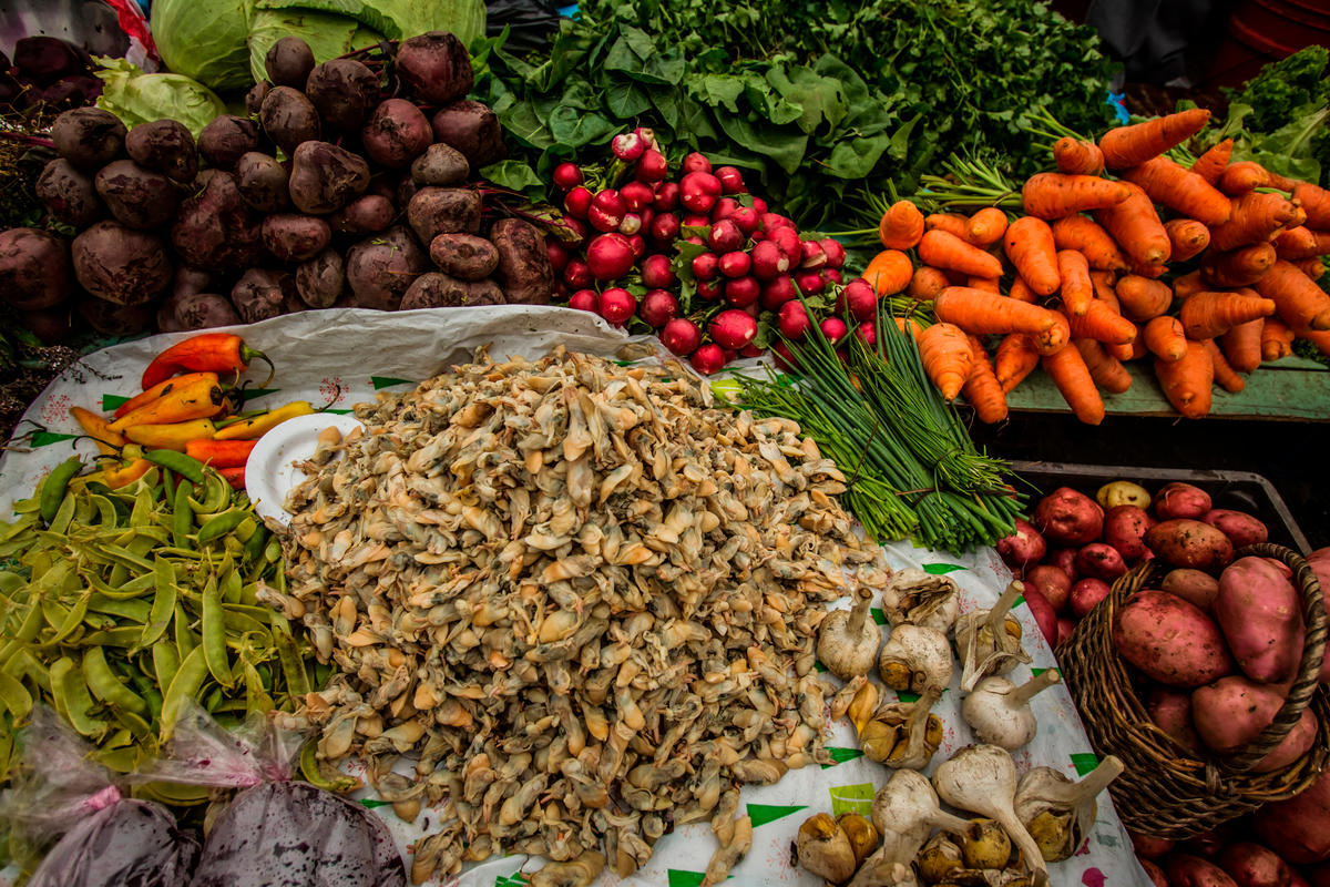 Fresh seafood for sale at the market in Puerto Montt, in southern Chile.
