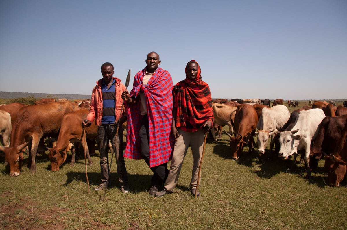 Michael Kaelo, Chief Community Officer, Mara Lion Project, with Maasai cattle herders, Maasai Mara, Kenya.