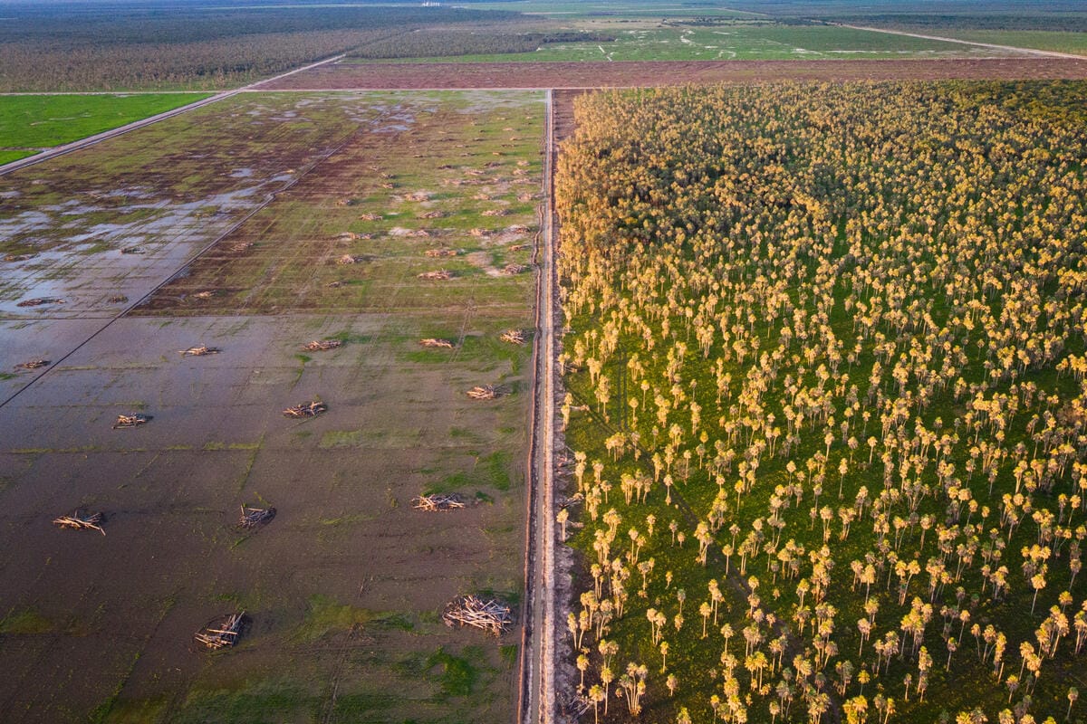 An arial view of a rice farm near Concepción, Paraguay.
