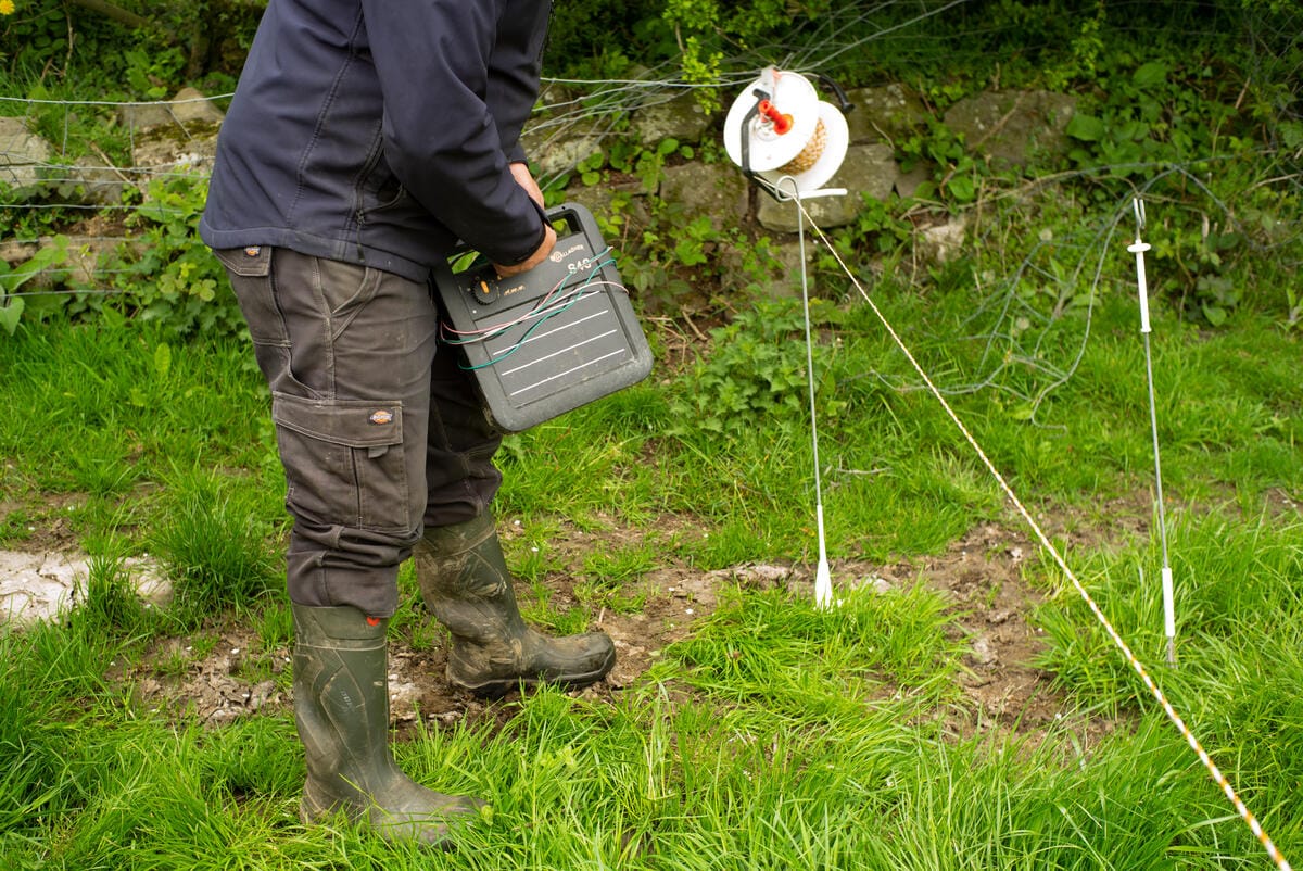 Farmer James Robinson puts up the electric fencing post, using the solar panelled energiser for the next day's grazing for his Dairy Shorthorn cattle.