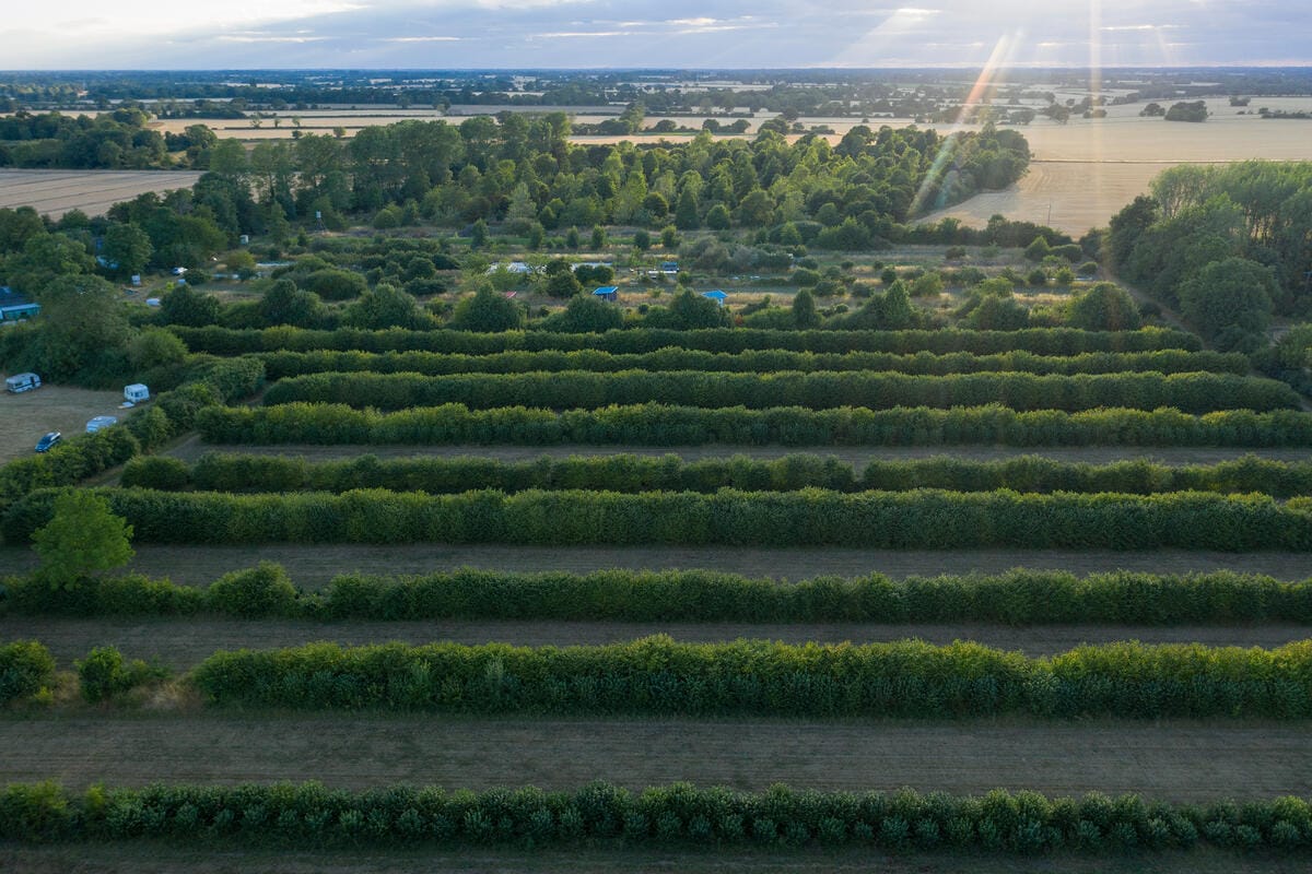 Aerial views of Wakelyns Farm, Fressingfield, Suffolk.