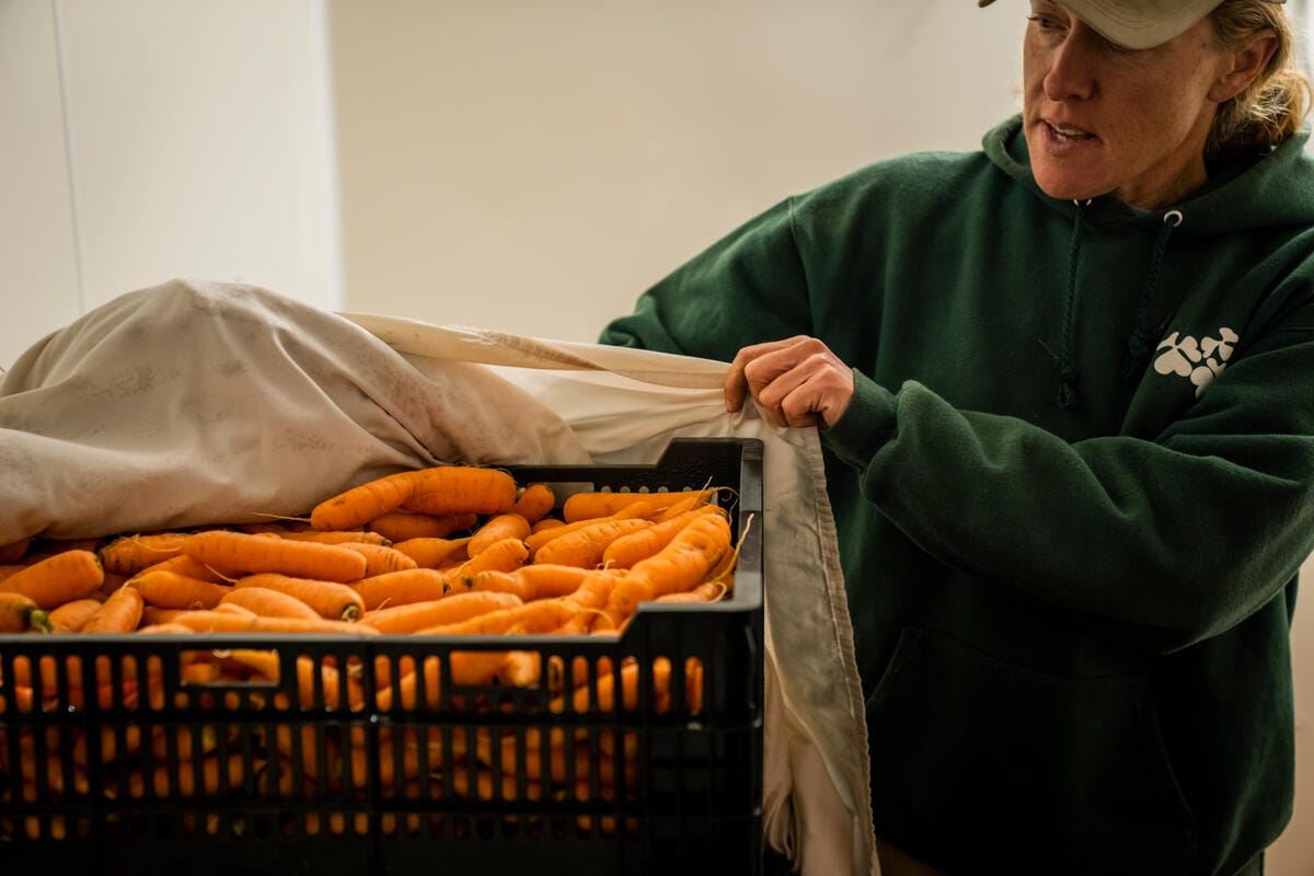 Owner of Cloverleigh Farm Susan Mitchell showing carrots in cold storage in Columbia, Conn.