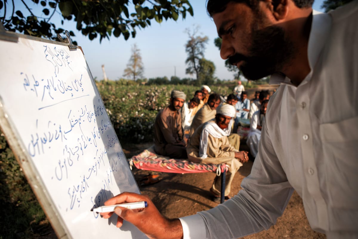 Gulam Ahmed, expert field facilitator for WWF-Pakistan, advises farmers on how to cultivate their fields and produce Better Cotton