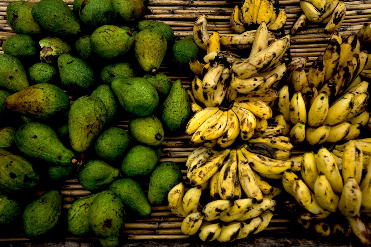 Bananas and avocados, Goma, DRC
