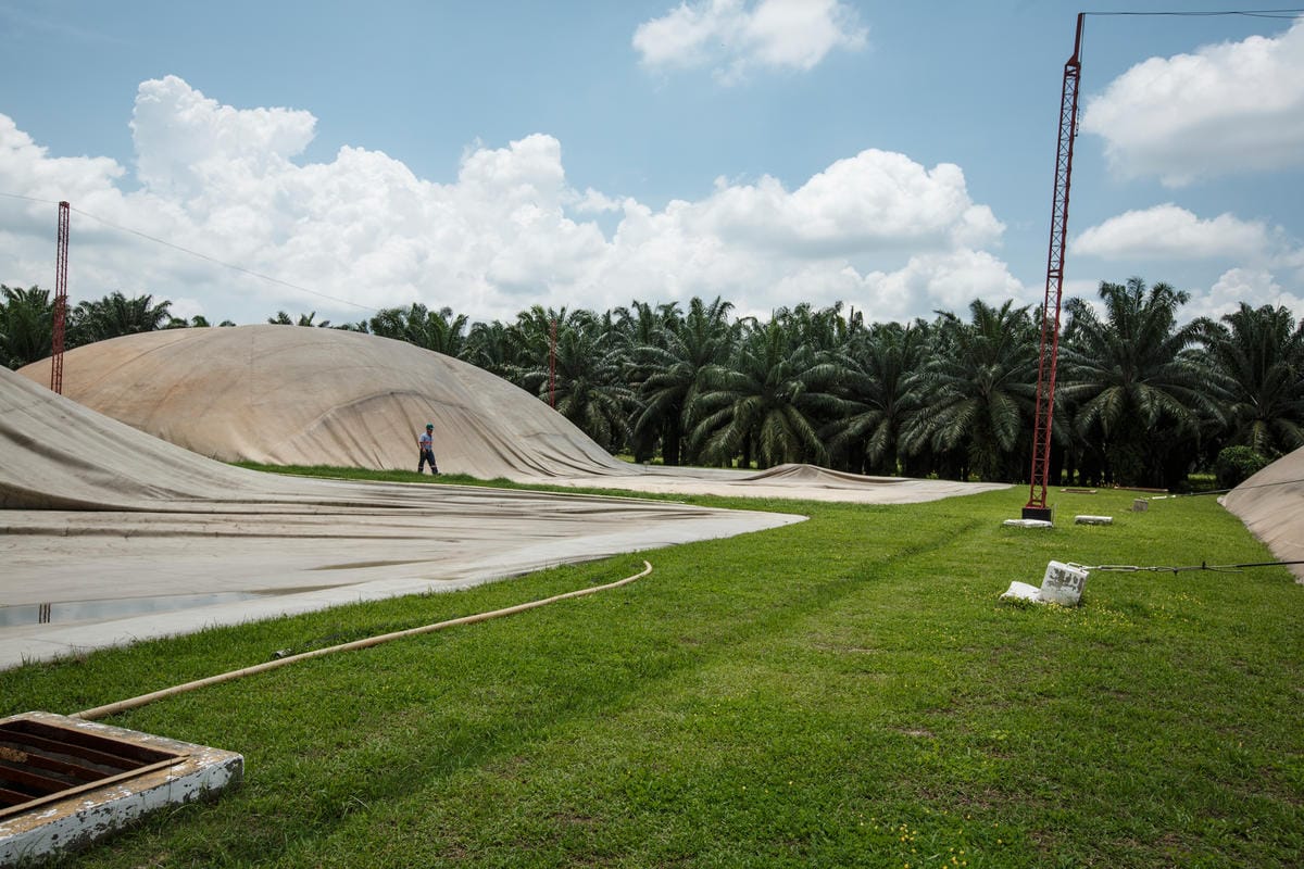 Biogas energy generation from the waste at the Agrocaribe palm oil plantation