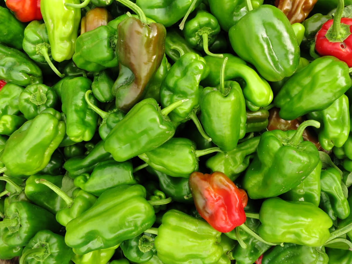 Vegetables at a market, Nanfangquan village, Jiangsu Province, China.