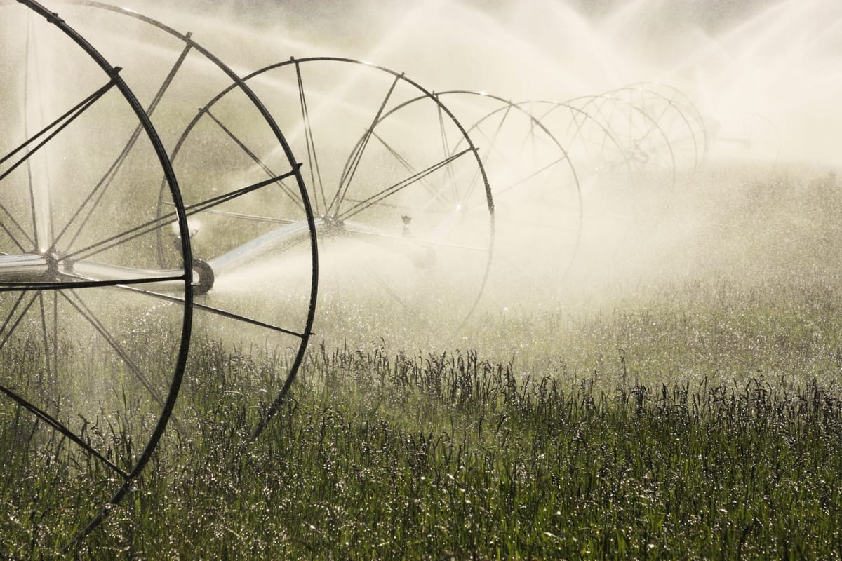 Crops on a farm are watered using irrigation equipment.