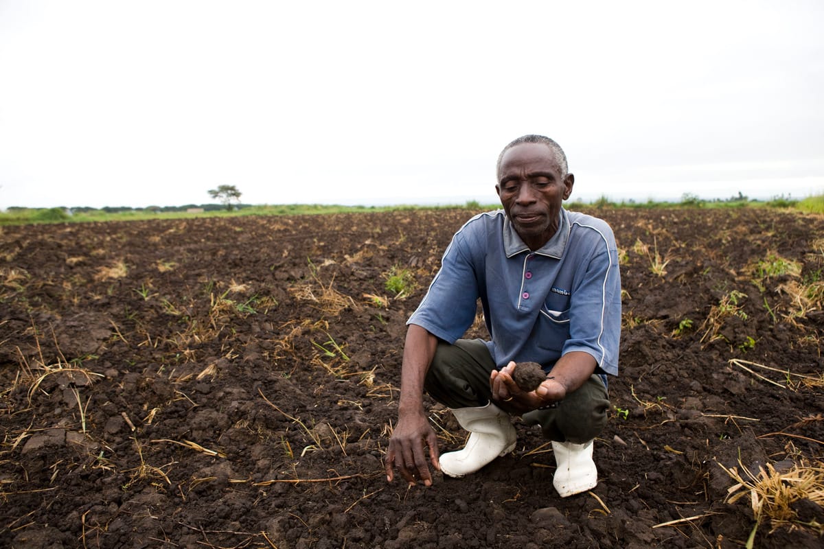 Mbiwo Constantine Kusebahasa, WWF Climate Witness, looking at his soil, Kasese, Rwenzori Mountains, Uganda.