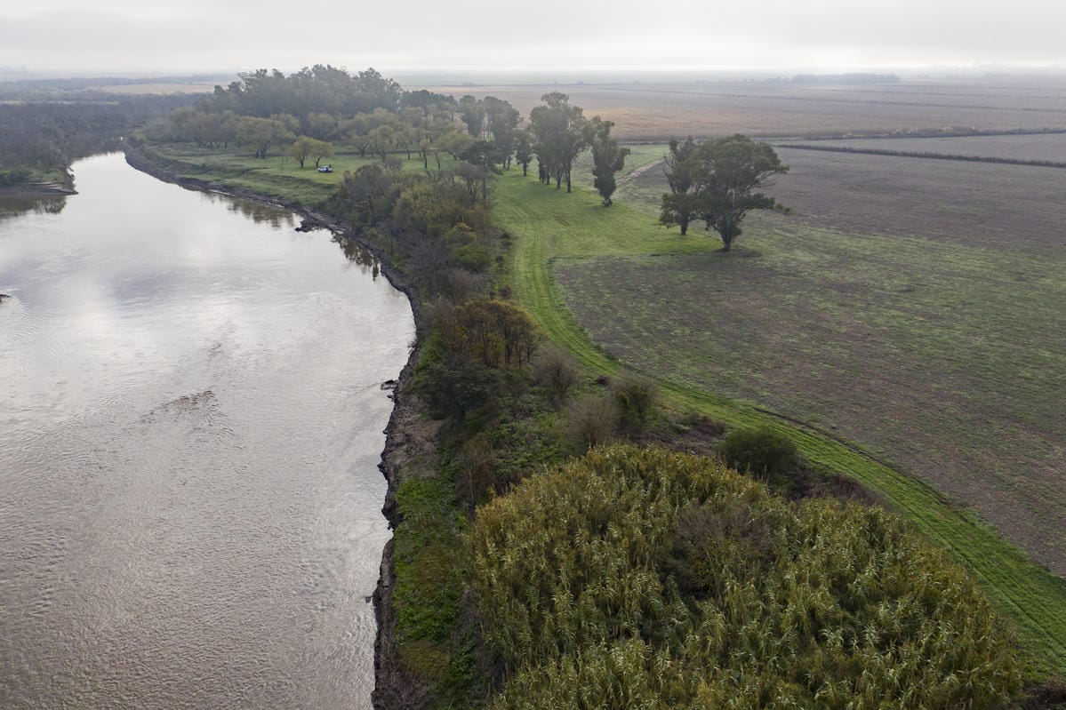 Photo prise par un drone des arbres et des zones tampons à la jonction des champs agricoles et de la rivière [TK]