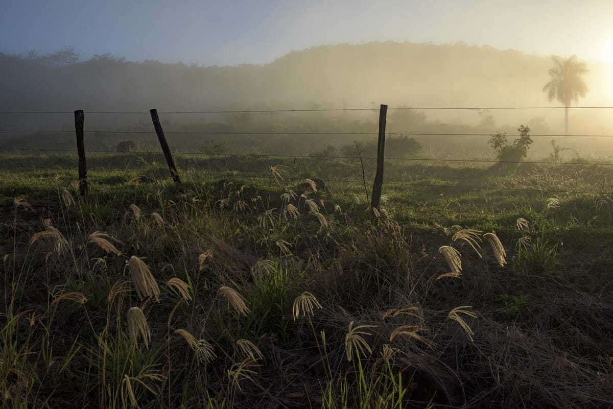 Grasslands in the Mutum mountains, an important iron mining region near Corumba, Mato Grosso du Sul, Brazil