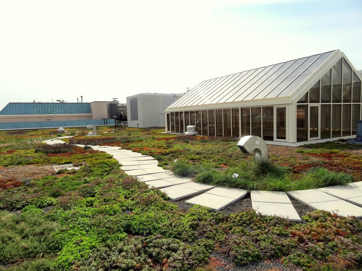 Green roof at the WWF;'s headquarters in Washington, DC, United States