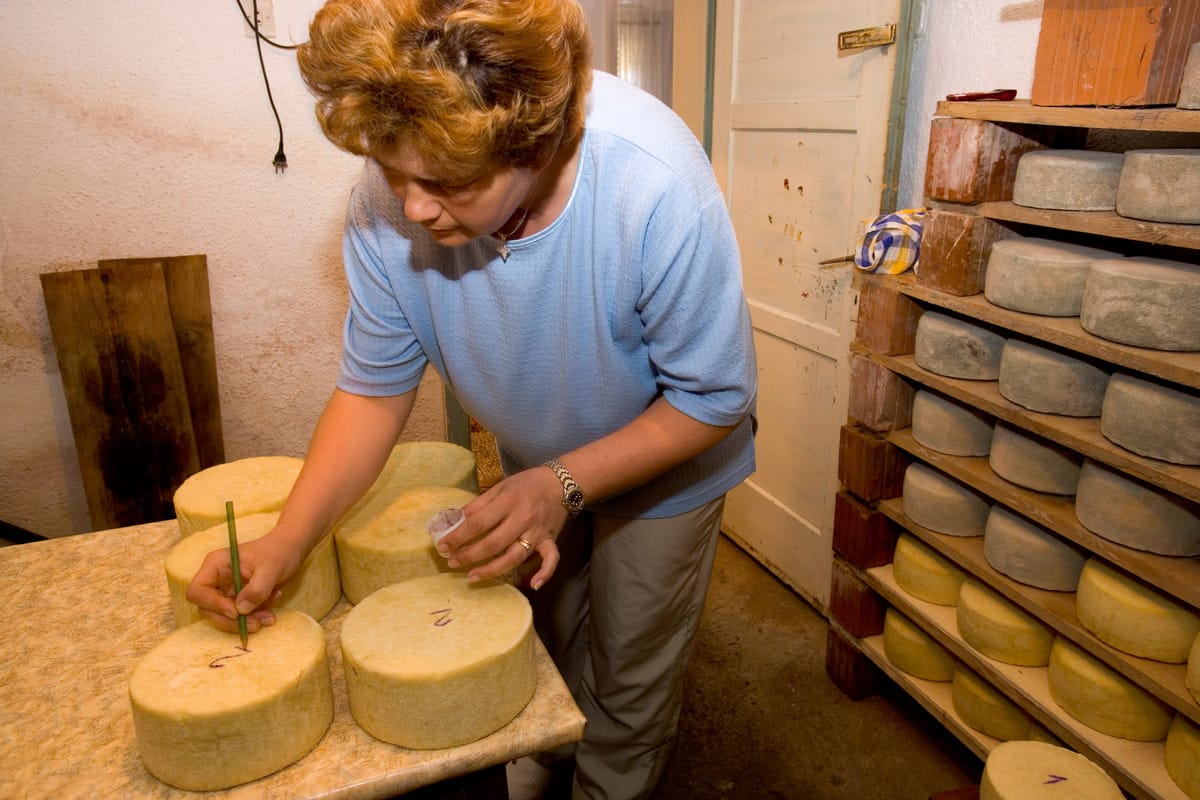 Making cheese in a farm.